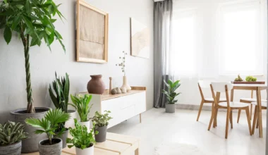 Personalización de viviendas: interior decorado con plantas